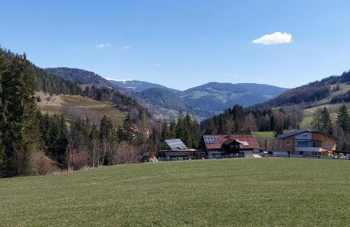 Sankt Peter am Kammersberg Apartamento | Greimblick