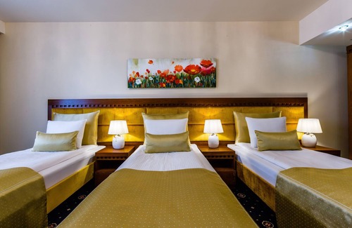Rzeszow Hotel | Grein Hotel