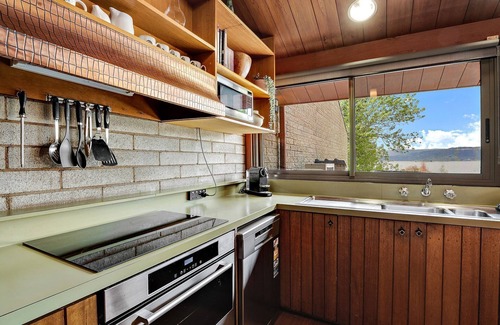 Jindabyne Apartamento | Canguro gris en la orilla del lago Jindabyne