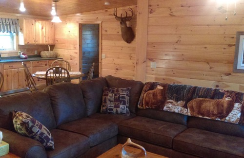 Branchport Cabina | Grey's Getaway Cabin # 3 Área de Finger lakes, admite mascotas, maravilla del invierno, ¡