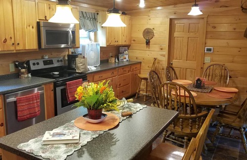 Branchport Cabina | Grey's Getaway Cabin # 3 Área de Finger lakes, admite mascotas, maravilla del invierno, ¡