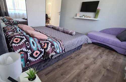Zajecar Apartamento | Grey & Sunny Apartments Zaječar