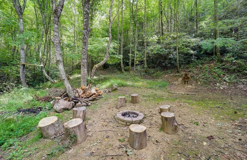 Elk Park Cabaña | 'greystone' Creekside Cabin: Hike, Fish & Explore!