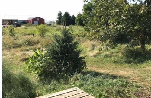 Grinnell Casa | Grinnell Heritage Tiny House - On Organic Farm