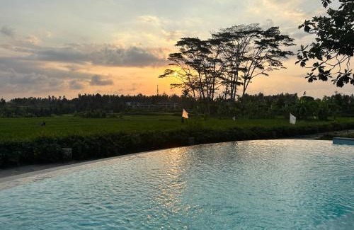 Mas Hotel | GRIYA KCB VILLA