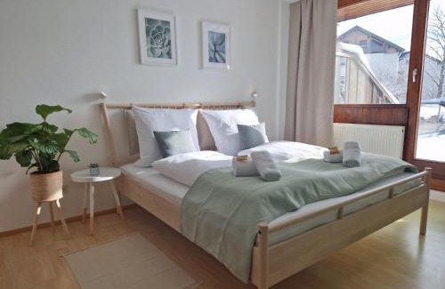 Schonach im Schwarzwald Apartamento | Große Terrasse, Netflix, 5min zum Skilift, 6 Personen, Waldnah,