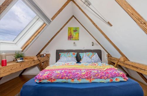 Schonach im Schwarzwald Apartamento | Großes Ferienhaus mit Sauna, Grill, Garten, Kaminofen - Zum Kuckuck