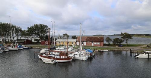Orth Apartamento | Großes Piratennest - Am Meer