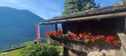 Valle Aurina Apartamento | Großstahlhof Mountain & Panorama View