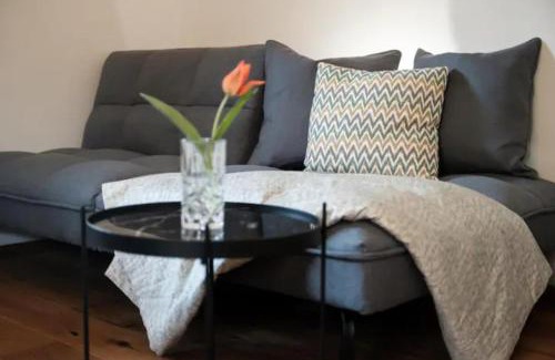 Maxglan Apartamento | Großzügiges, charmantes Appartement in Salzburg by Fiorentino