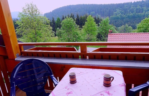 Glashutt Apartamento | Großzügiges und Freundlich Eingerichtetes Appartement mit Modernem Dusch-badezimmer