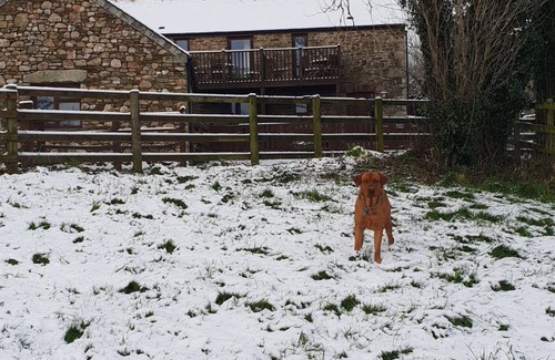 St Wenn Casa | Cottage de los novios- Capacidad para 4 y sus perros