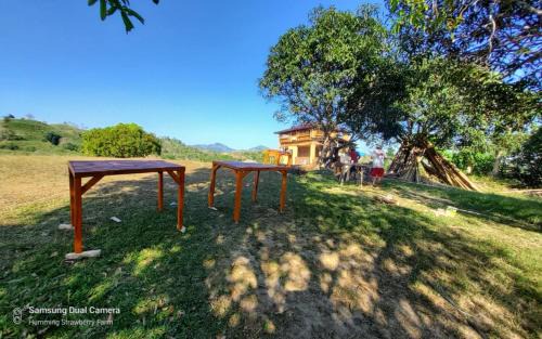 Pulot Casa | Ground Floor Air-conditioned Room in the Family Hut Bamboo House