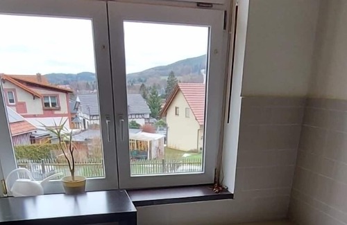 Friedrichroda Condominio | Ground floor apartment with parquet, fireplace, terrace and garden