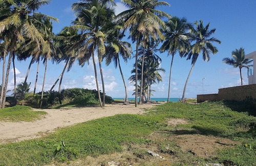 Cabarete Apartamento | Ground floor B&B room/bathroom on the beach, breakfast included!
