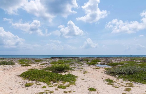 Akumal Apartamento | Ground level Garden condo at Akumal south by TAO Santamar