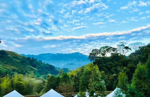 Dahu Otro | Grow Tree Glamping