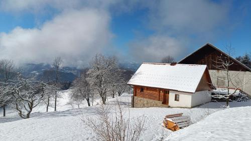 Pohorje Apartamento | Grunt Sonek