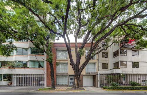 Miguel Hidalgo Apartamento | Grupo Kings Suites - Horacio 1525