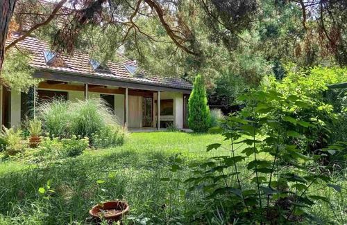 Aesch Casa | Gruppenunterkunft in schöner Villa, naturnah, mit Sauna