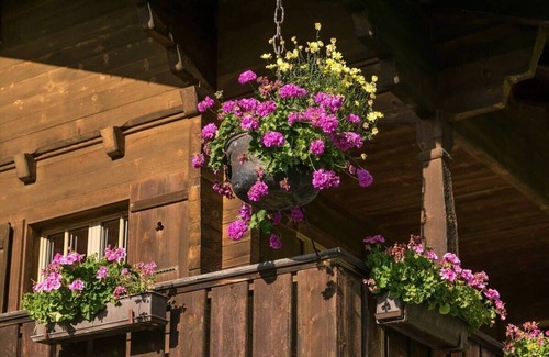 Saanen Chalet De Esquí | Gstaad Duplex Flat - Increíble lago Chalet con estanque