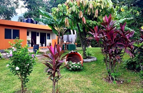 Sector 1 Nor-Oeste Casa | Habitación Guacamaya - Casa Armenta B&B