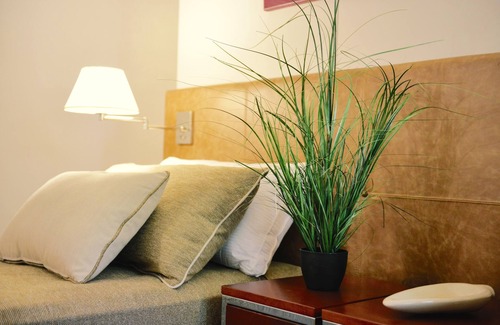 Puerto Iguazú Hotel | Guaminí Misión Hotel