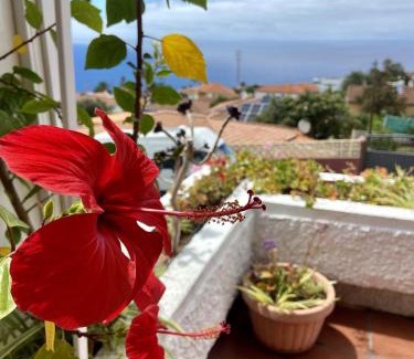 Tacoronte Apartamento | Guanche Bay