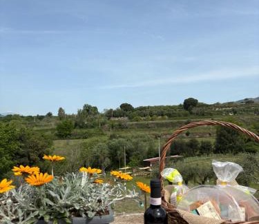 Sessa Aurunca Cama Y Desayuno | Guar Country Resort
