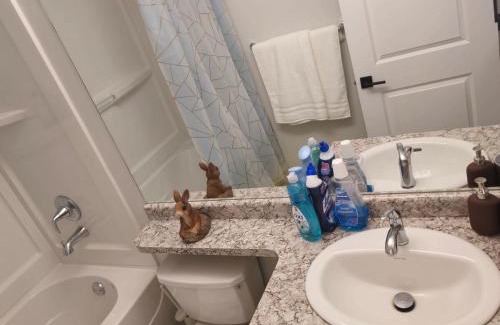 Fort Gary Apartamento | Guest Basement suite in Winnipeg
