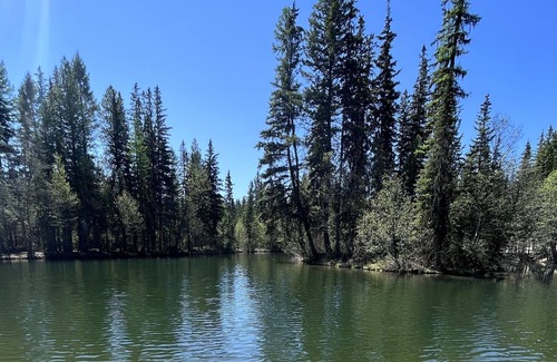 Eureka Cabina | Guest Cabin with catch and release fishing on site!