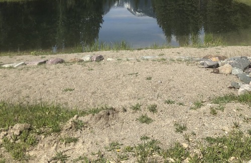 Eureka Cabina | Guest Cabin with catch and release fishing on site!