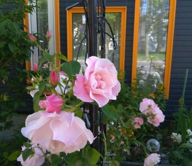 Hakodate Apartamento | Guest House Annabel