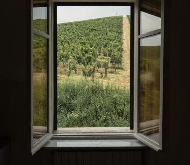 Strevi Apartamento | Guest House - Azienda Oddone Prati
