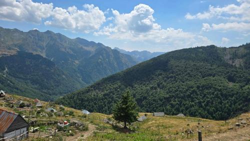 Albania Otro | Guest House Balcina