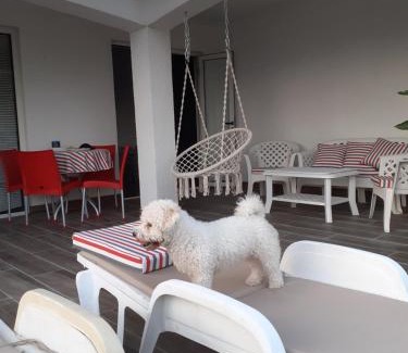 Zelenika Casa | Guest House Cvoro