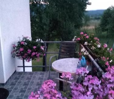 Irinovac Casa | Guest House First Stop