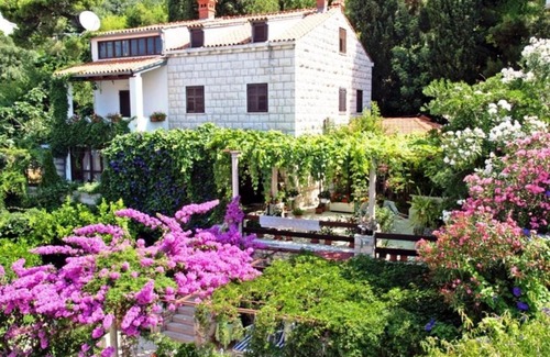 Gornji Kono Apartamento | Guest House Foretić