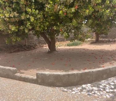 Sanyang Casa | Guest house