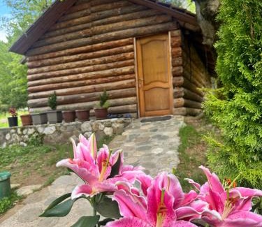 Kukes County Cama Y Desayuno | Guest house Hyrmet Demushi