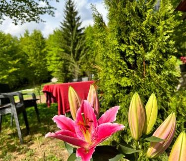 Kukes County Cama Y Desayuno | Guest house Hyrmet Demushi
