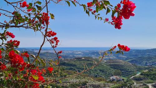 Benamargosa Chalet De Esquí | Guest house in the countryside