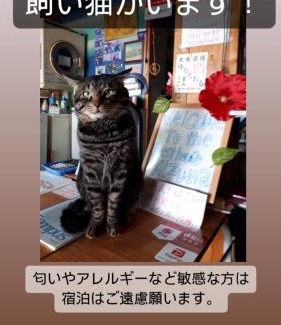Oshamanbe Casa | Guest House Kizuna