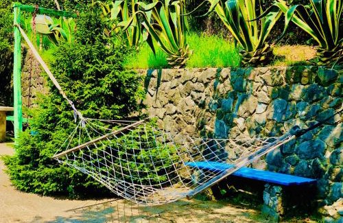 Mtsvane Kontskhi Casa | Guest House Lasha