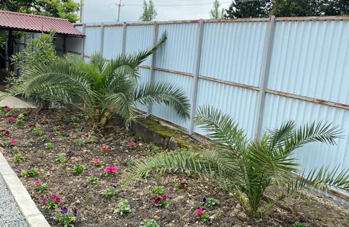 Tsandripsh Casa | Guest House Lev