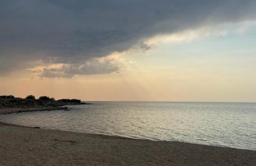 Tosor Casa | Guest House Medet
