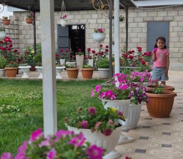 Talas Casa | Guest House "Midnight"