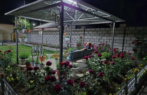 Talas Casa | Guest House "Midnight"