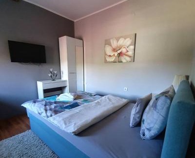 Vrdnik Apartamento | Guest House Mines