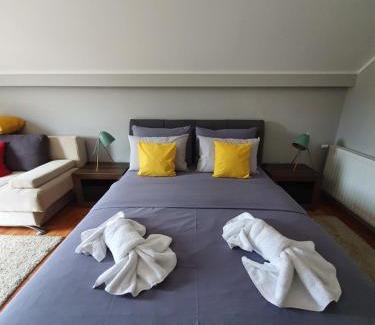 Vrdnik Apartamento | Guest House Mines